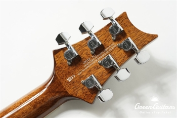 SE A40E - Tobacco Burst
